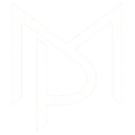 Professional Security Guard Professional Security Guard